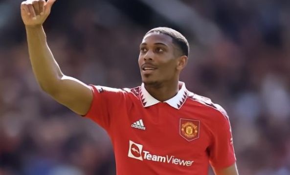 的新机遇 的新机遇