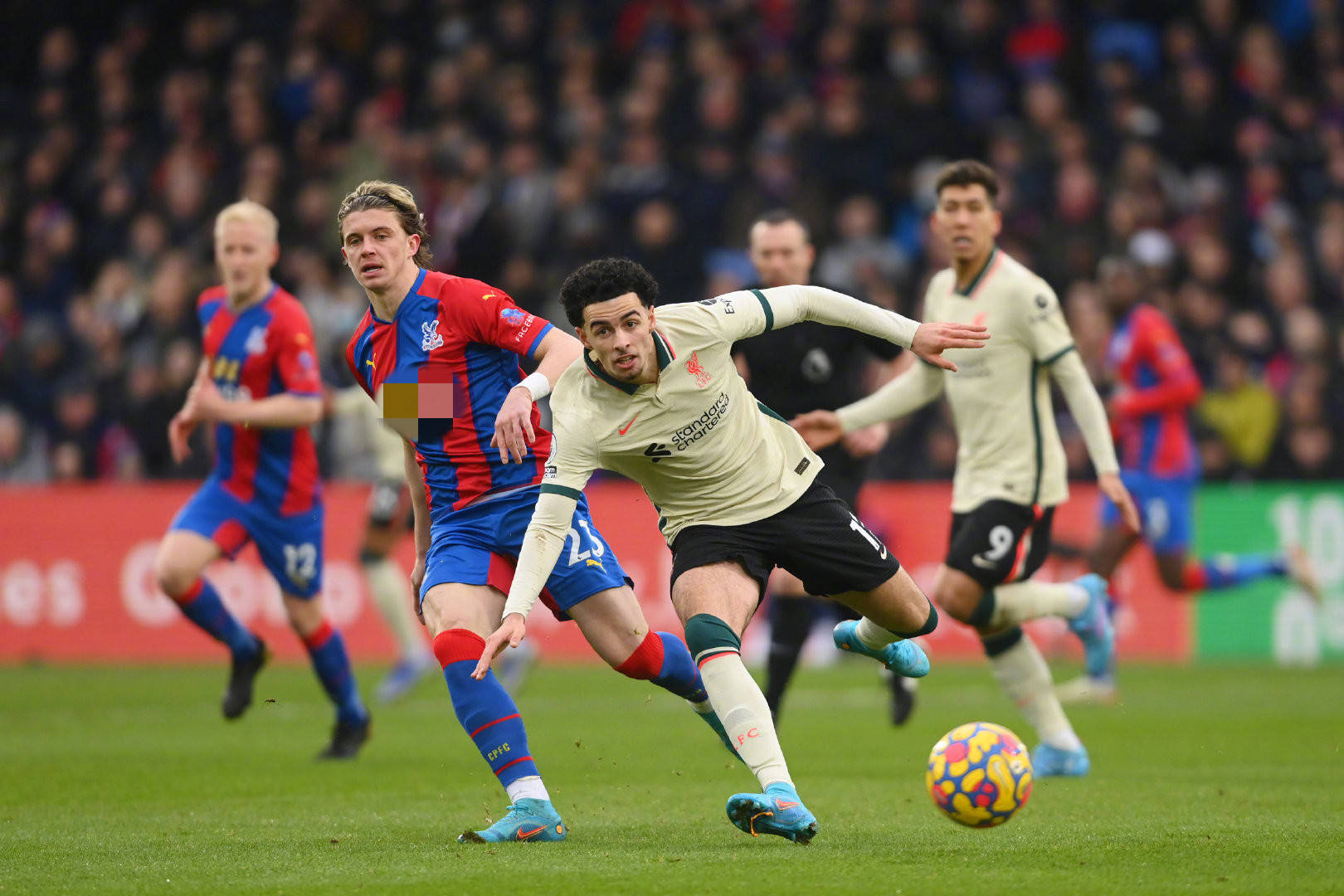 岁的全能球 岁的全能球